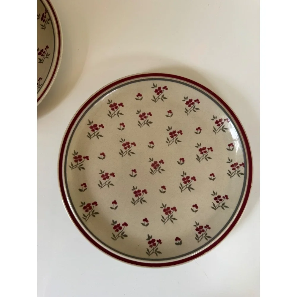 Newcor Stoneware Cambridge Dinner Plates Set of 2 Red Floral Japan Vintage